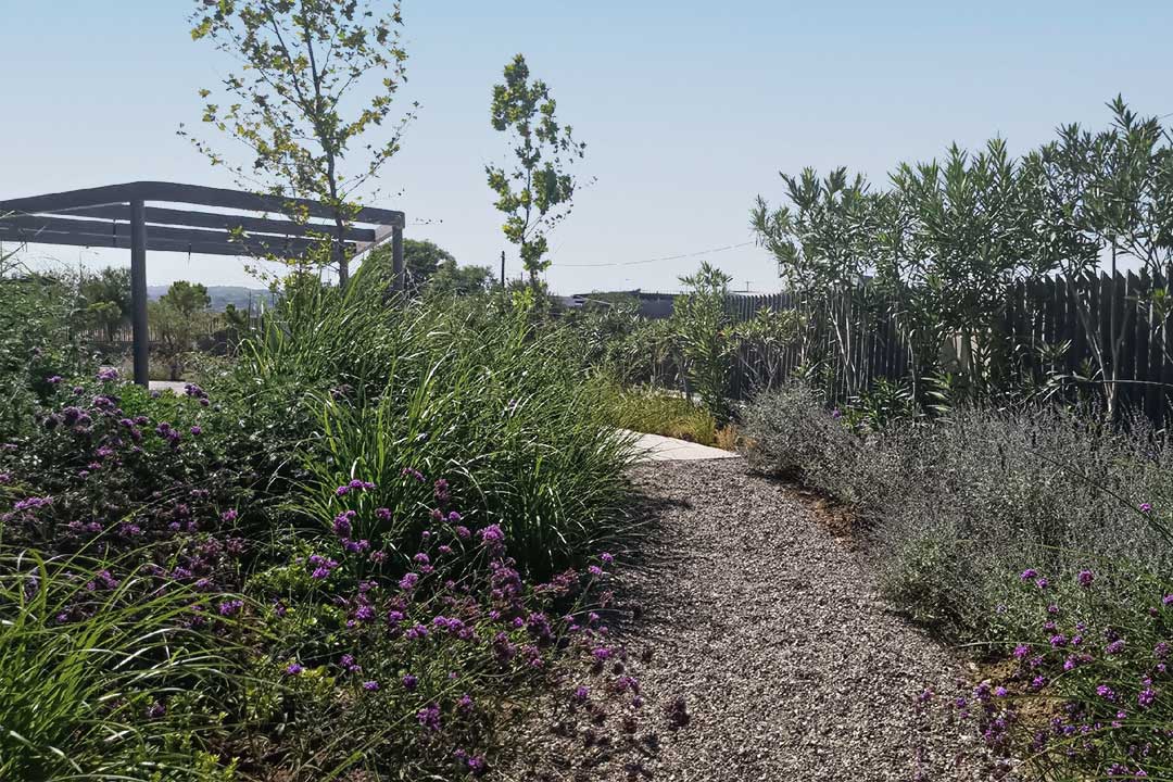 Epsilon health Office building