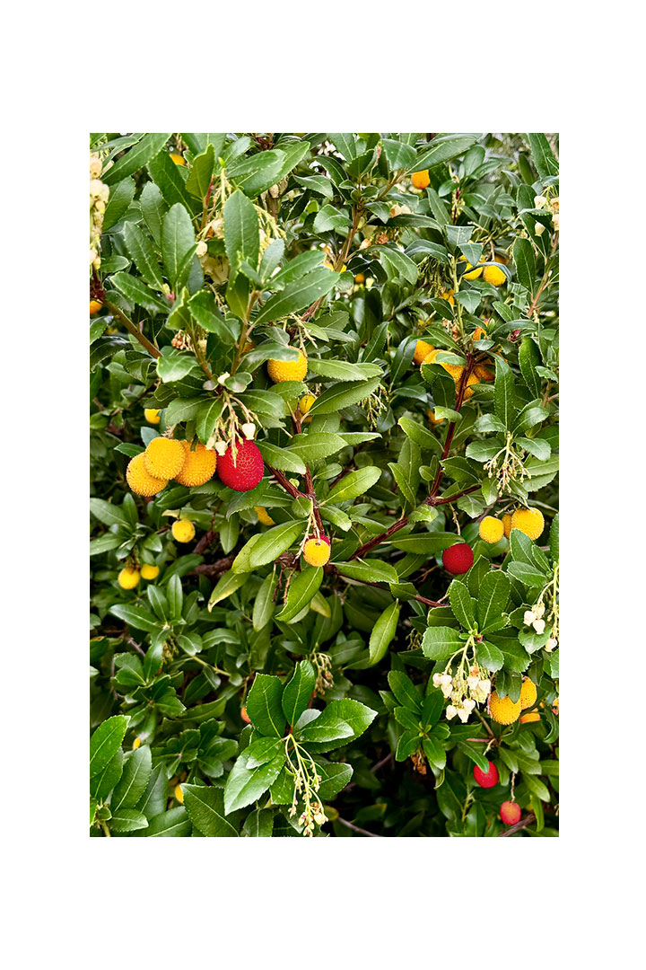 KRS Ιδιωτική κατοικία