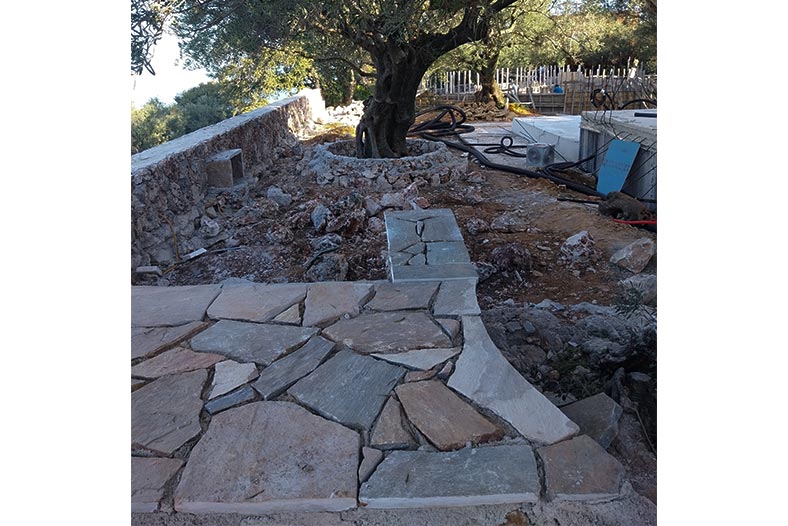 Prosilio olive tree houses
