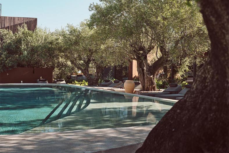 Prosilio olive tree houses