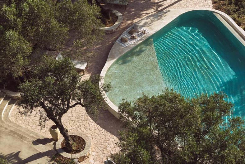 Prosilio olive tree houses