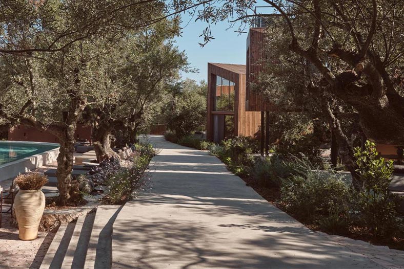 Prosilio olive tree houses