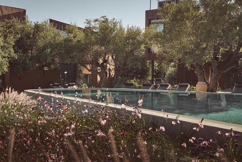 Prosilio olive tree houses