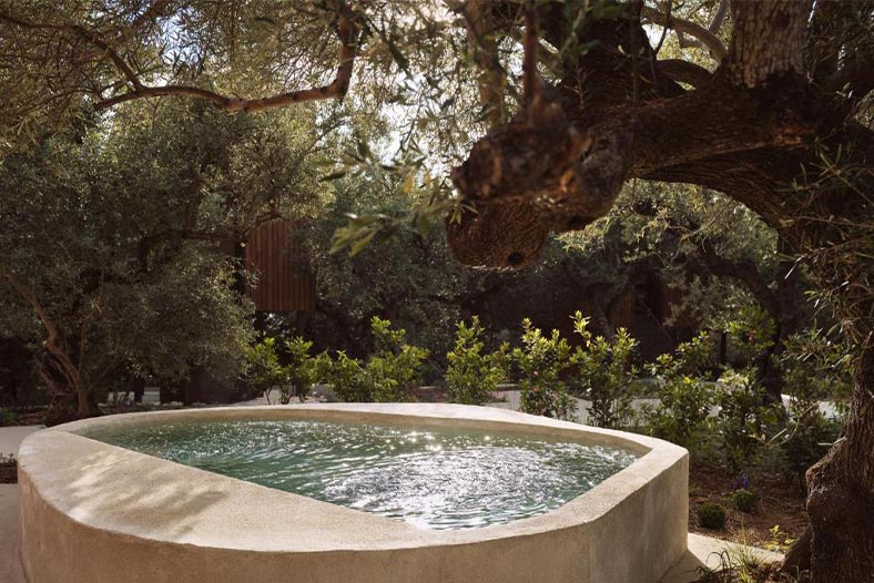 Prosilio olive tree houses