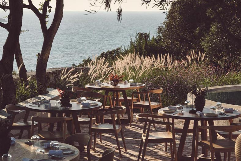 Prosilio olive tree houses