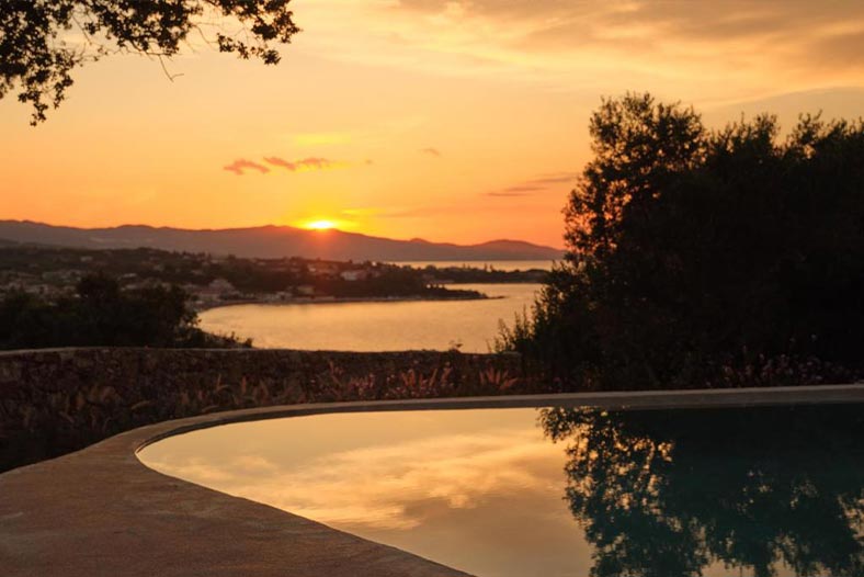 Prosilio olive tree houses